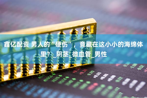 鑫亿配资 男人的“硬伤”，竟藏在这小小的海绵体里？_阴茎_微血管_男性