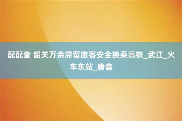配配查 韶关万余滞留旅客安全换乘高铁_武江_火车东站_唐音