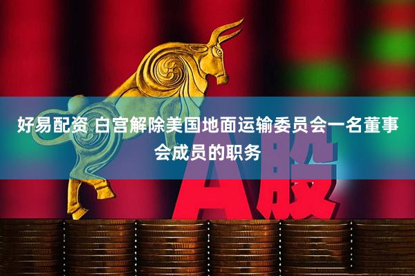 好易配资 白宫解除美国地面运输委员会一名董事会成员的职务
