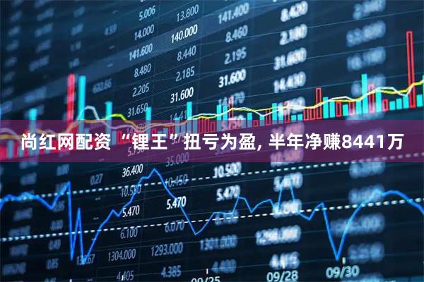 尚红网配资 “锂王”扭亏为盈, 半年净赚8441万