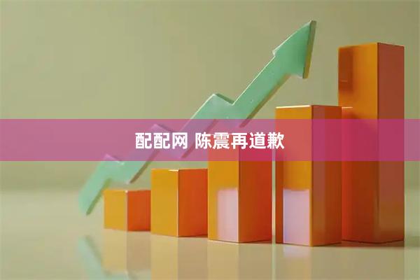 配配网 陈震再道歉